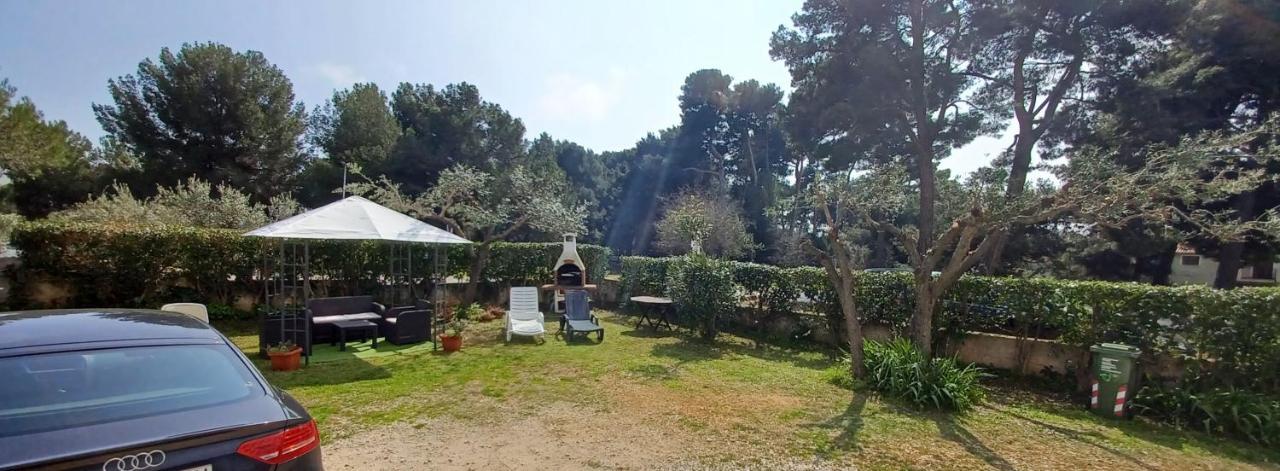 Apartman Dorjan